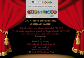 POC 229-manifestazione finale